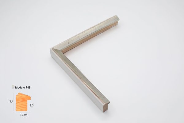 748-256 748-256 SILVER AND IVORY WATER GILDED