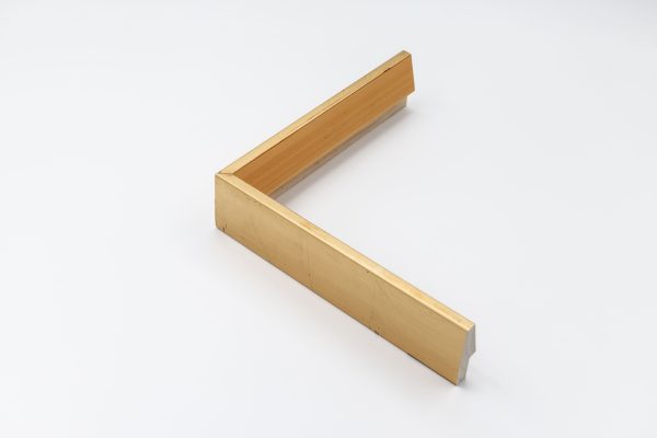 823-8 823-8 TIERRA LATERAL ORO