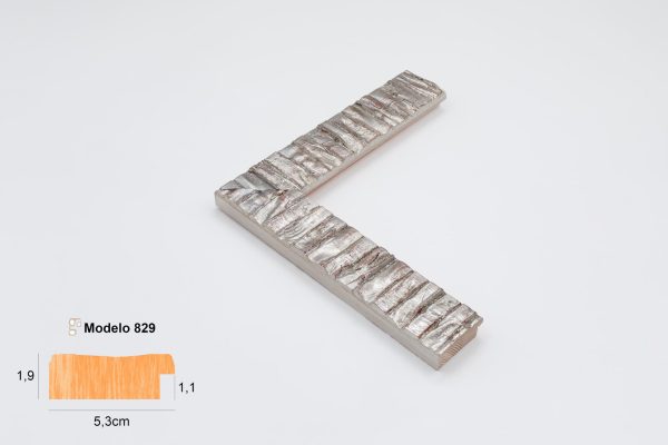 829-1641 PLATA