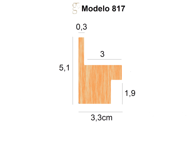 817-256 WHITE SILVER EDGE